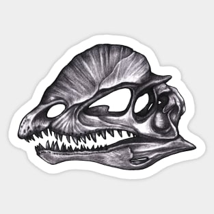 Diplophosaurus Skull Sticker